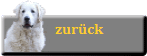 zurck